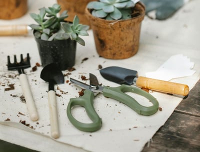 Houseplant tools with pruning shears