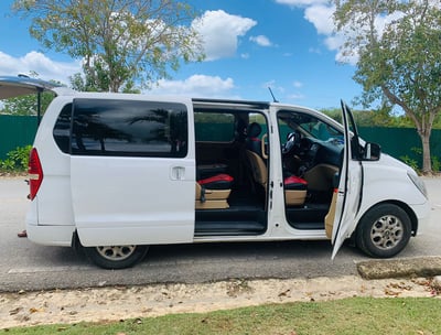 a van parked in a parking lot with a dog