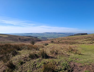 Outdoor therapy Somerset