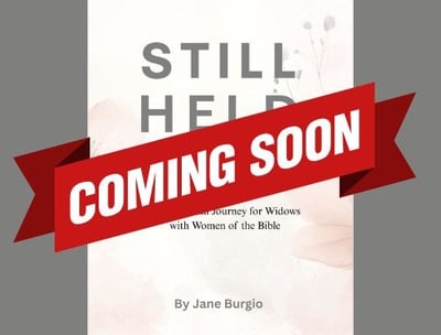 a book cover with a red ribbon and a red ribbon