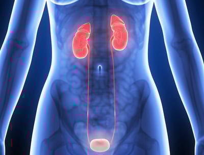 urología medellina