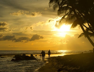 a couple of people walking on a beach