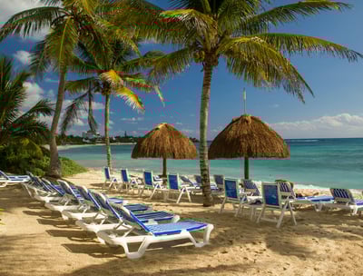 a beach with chairs and umbrellas on the sand