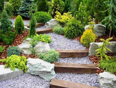 Jardin paysager avec rochers, plantes et allée zen