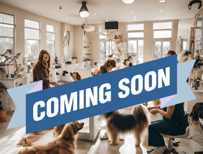 A CGI image demonstrating a dog grooming training salon with a coming soon banner