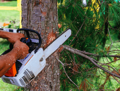 a man is using a chainsaw to cut a tree