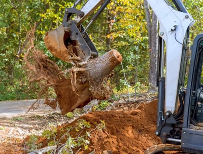 a man is taking a break from a tree stump removal