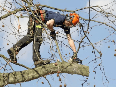 a man in a helmet is using a chainsawl to cut down a tree