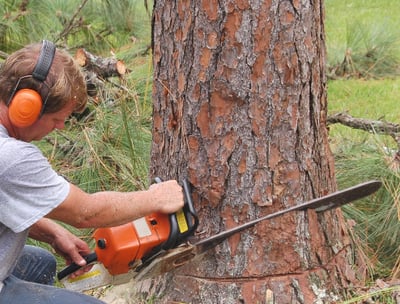 a man is using a chainsaw to cut a tree