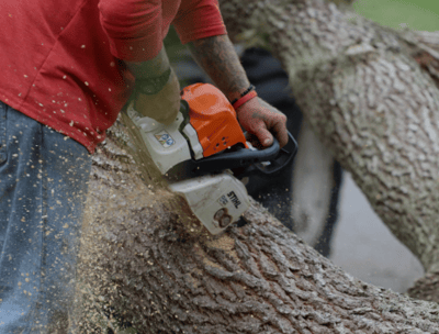 a man is using a chainsaw to cut a tree