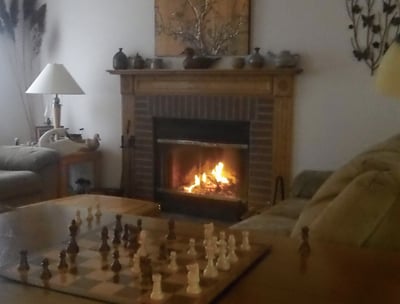wood burning fireplace