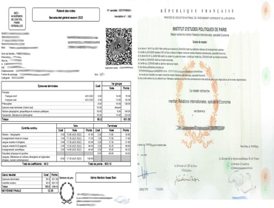 Professional academic document translation services by Lang Lumin