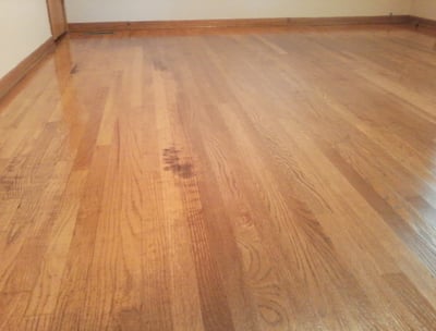 Wood floor refinishing
