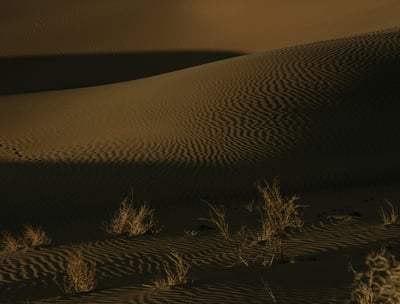 Kyzylkum Desert at night