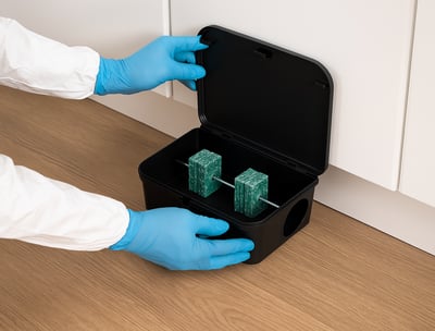 Mise en place de dispositifs de lutte contre les rats et souris