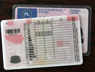 polski prawo jadzy