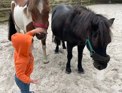 deux chevaux avec un enfant - initiation cheval