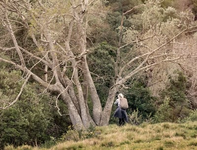 Photographer standing beneath tall trees in a natural forest during a Swellendam photography retreat.