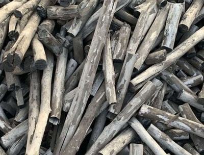 Earthange Vietnam Mangrove charcoal supplier