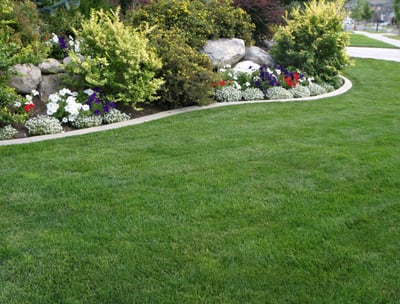 professional irrigation