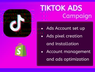TikTok Ads Management
