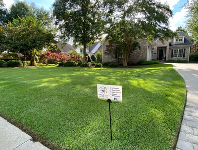 Expert lawn solutions