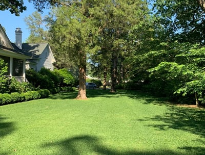 Personalized Lawn Care