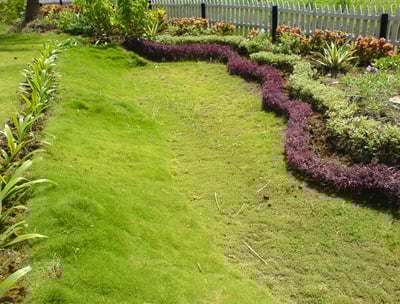 Eco-friendly vertical garden installation by Urbanspike Agro Fresh Pvt Ltd