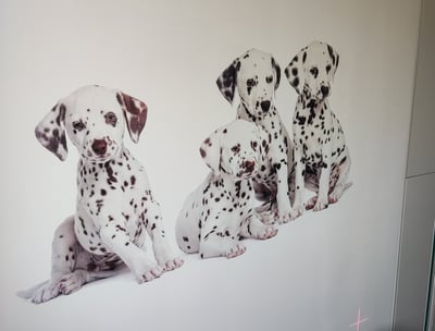 wall printers