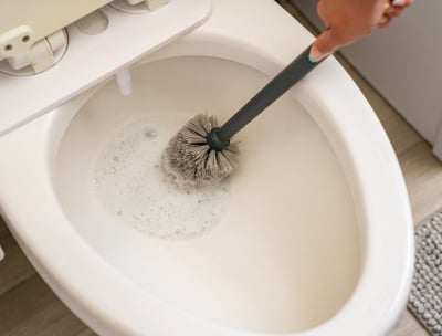 foamy eco-friendly toilet cleaner being brushed with a bamboo brush