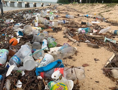 beach polluted with various plastic household cleaning packages