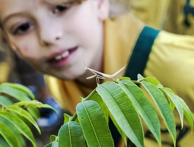 Une enfant découvrant la faune sauvage 