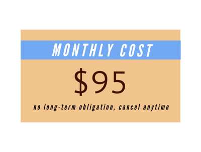 Business growth website design and hosting package for $95 per month