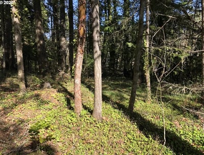 Oakridge Real Estate land for sale