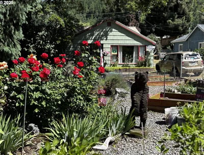 Oakridge Real Estate Home for sale
