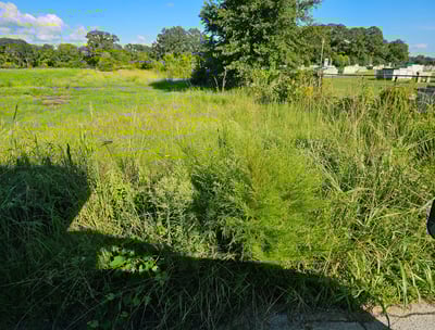 Vacant land for sale at 0 Blount St, Ayden NC 28513