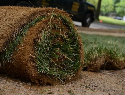 a rolled up grass in a yard with a truck parked in the background