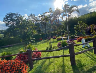Zonas verdes para estar en tranquilidad en un hotel, lleno de flores y colores