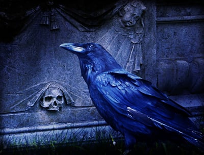 a black bird sitting on a grave stone grave