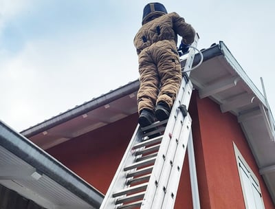 destruction nids de guêpes et frelons sous un toit