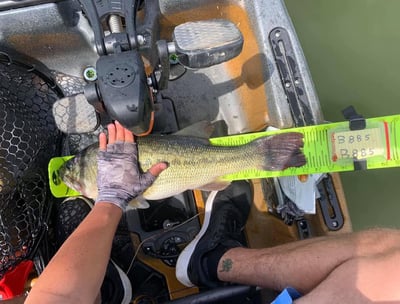 a person holding a fish in a boat