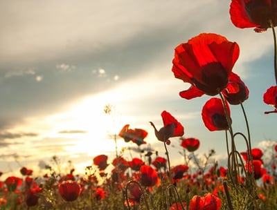 counselling for PTSD