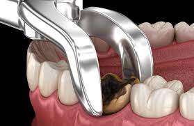 a dental device with a toothbrush and toothbrushes