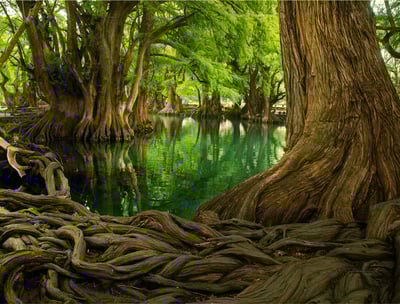 tour a lago de camecuaro