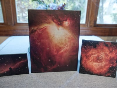 Canvas Prints