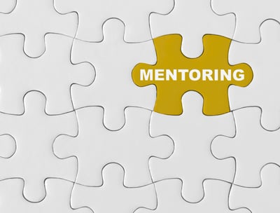 engineering leadership development and career mentoring