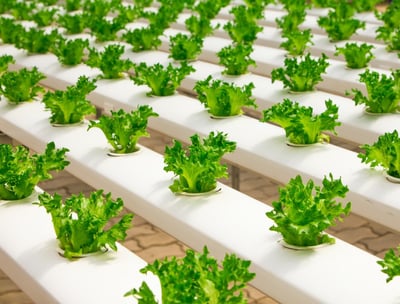 Sustainable products