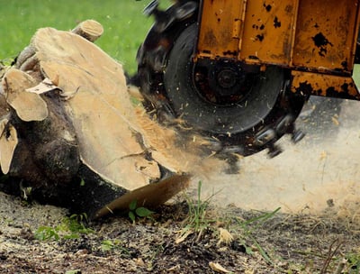 Stump Grinding Services