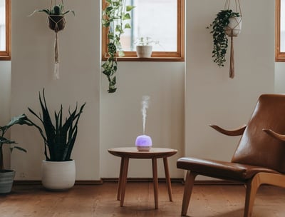 Interior, living room