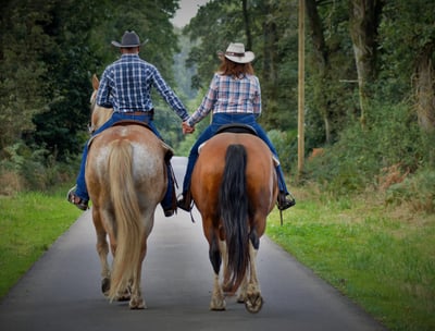 Équitation dans la Forêt de Coat-an-Noz, Bretagne – cavalier sur un sentier boisé entouré de forêt l